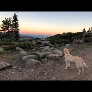 Meet your Posher, Elizabeth